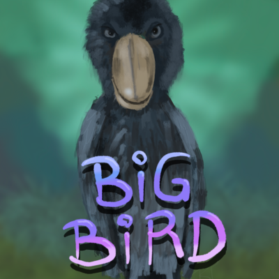 BigBird csapat adománygyűjtés :-)